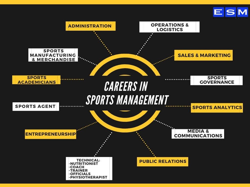 Career in sports